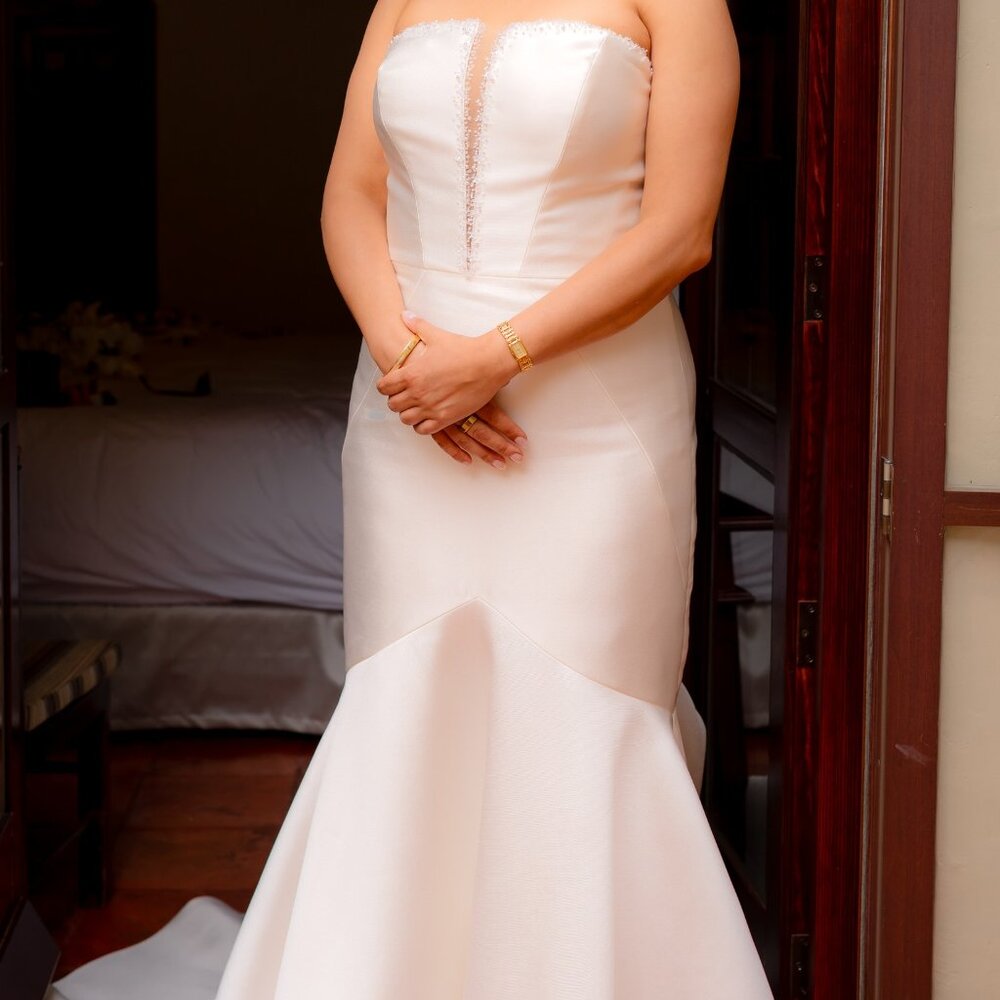 Pronovias Tasman Mermaid Wedding Dress – Mikado